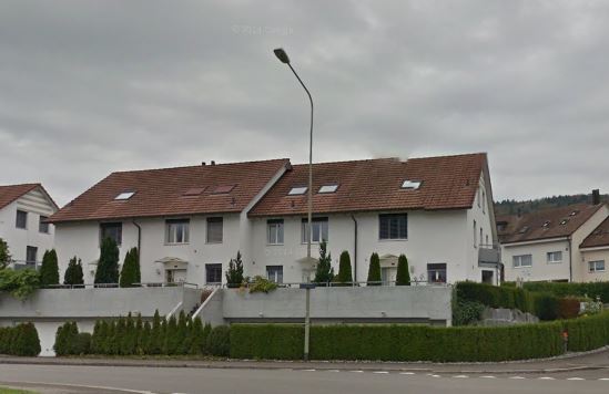 Alte Landstrasse Dänikon Zürich-Umzugsreinigung-Wohnungsreinigung