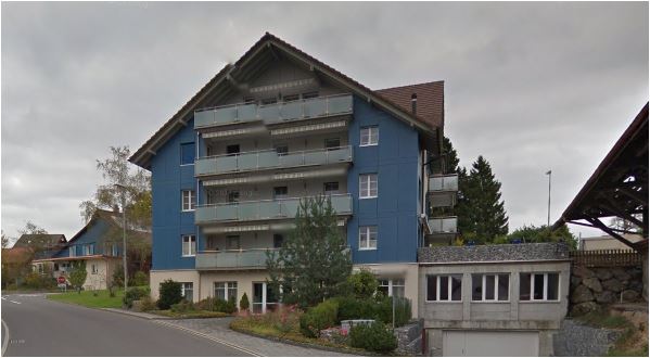 Haslaubstrasse Schönenberg ZH-Umzugsreinigung-Wohnungsreinigung