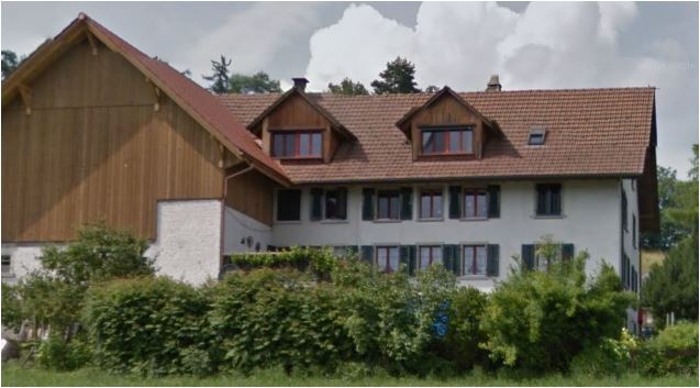 Lochrütistrasse Wolfhausen Zürich-Umzugsreinigung-Wohnungsreinigung